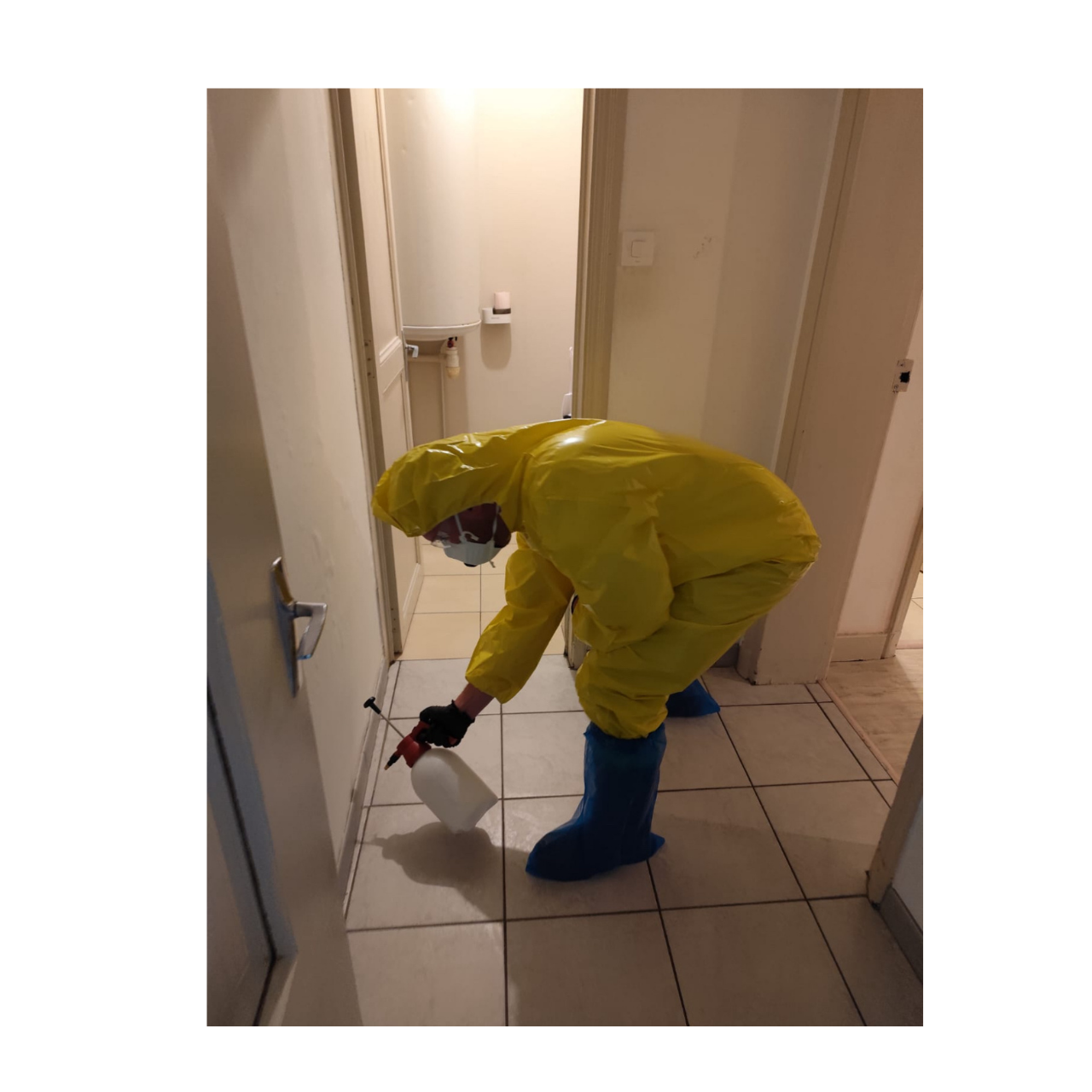 Désinsectisation de locaux avec EPI complet et pulvérisateur